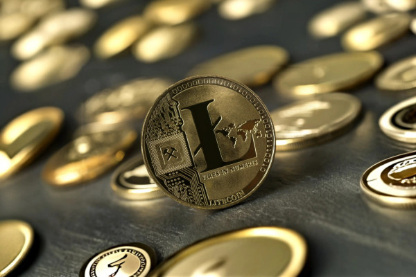 Litecoin (LTC): Išsamus vadovas apie kriptovaliutą, jos veikimą ir perspektyvas